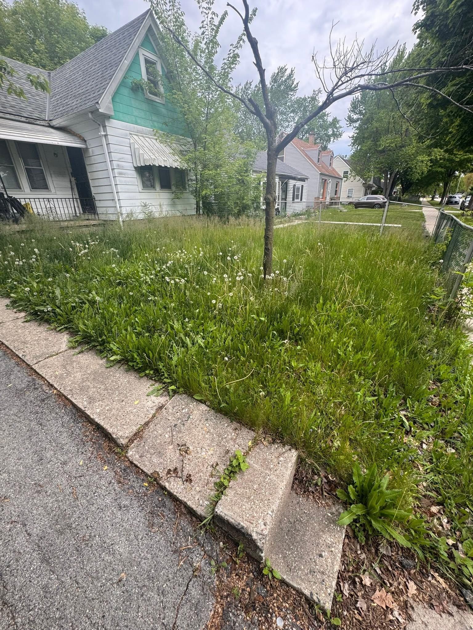 Before image